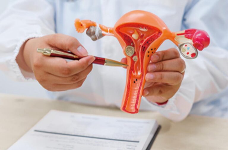 The 14 hallmarks of aging and why the focus is on ovarian health