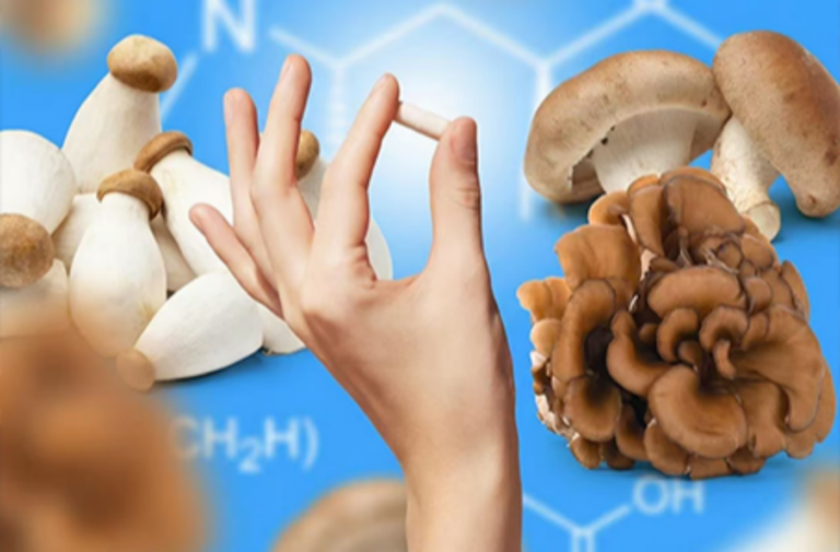 Review underscores ergothioneine’s anti-agingpotential for cognitive function